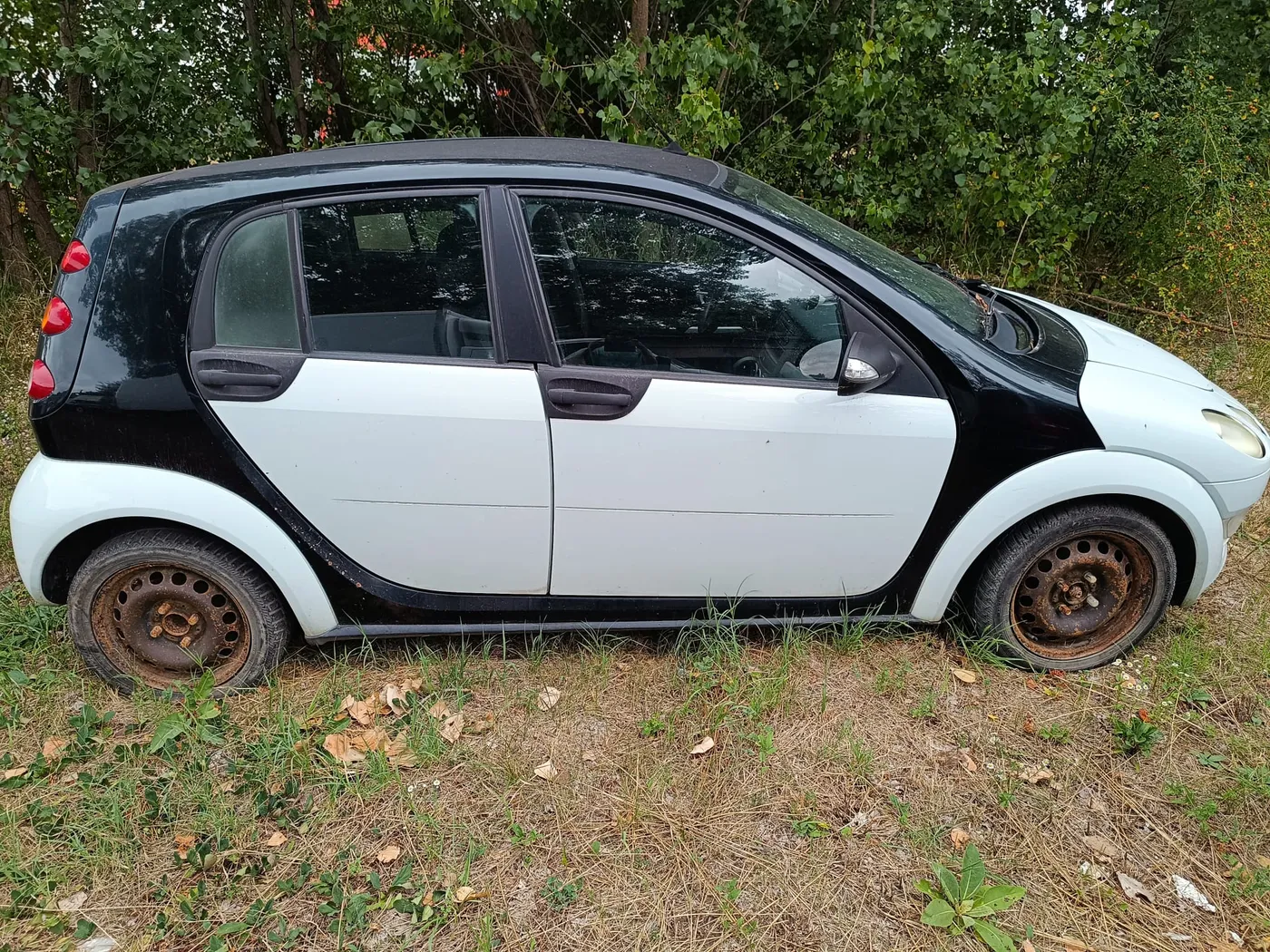 SMART FORYOU, fotografie 3